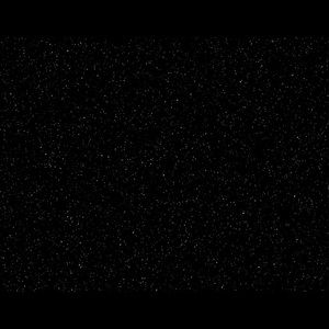 Meet your Posher, Ella